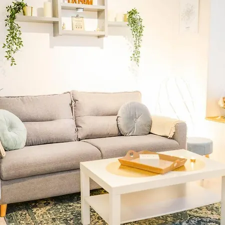 Appart Cosy En Hyper-centre De Avec Jardin Caen